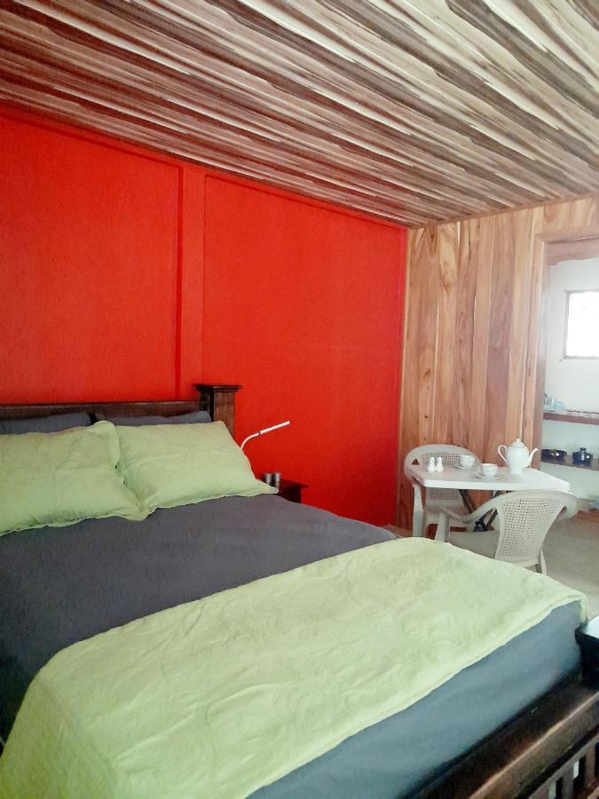 Hostel Osa Tucan Drake Drakes Bay Zimmer foto