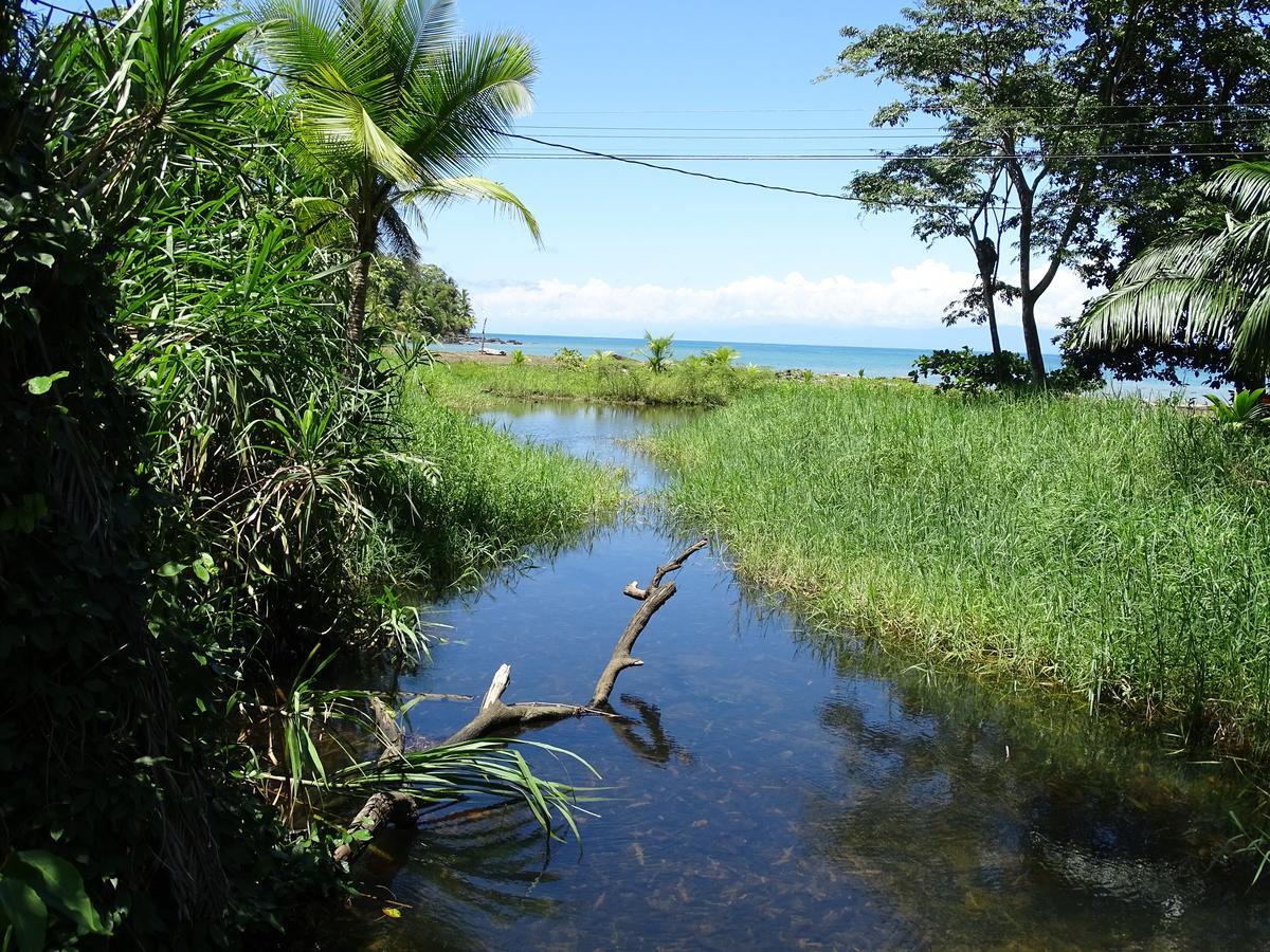 Hostel Osa Tucan Drake Drakes Bay Exterior foto