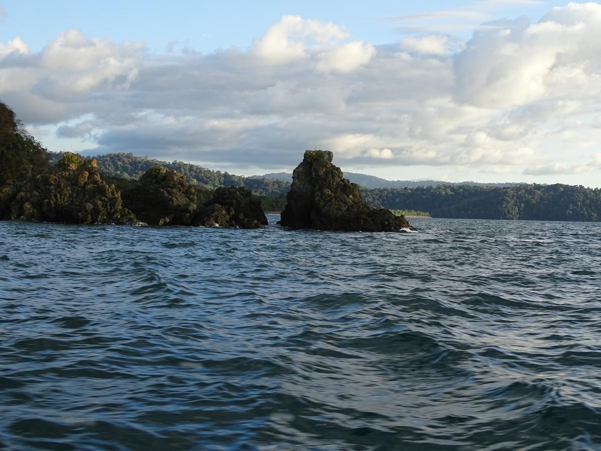 Hostel Osa Tucan Drake Drakes Bay Exterior foto