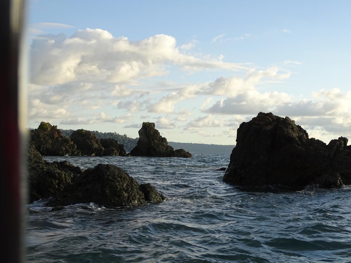 Hostel Osa Tucan Drake Drakes Bay Exterior foto